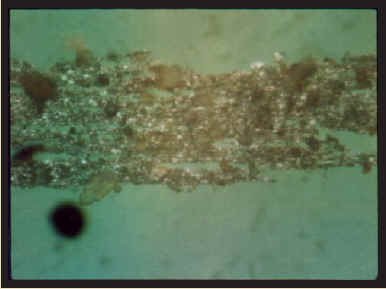 Ferrograph of the untreated oil showing a dense band of wear particles